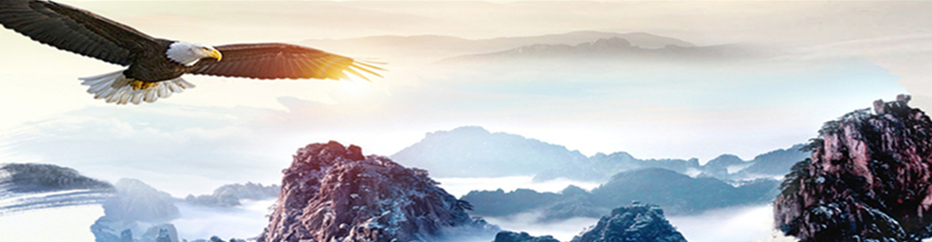 廢氣處理凈化設(shè)備廠家 廢氣處理凈化設(shè)備